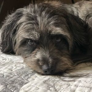 Meet your Posher, Daniella